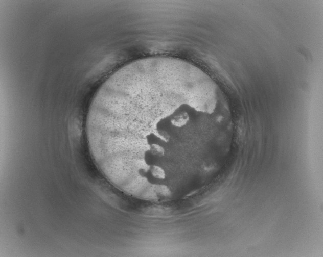 X0000115390691200911241246