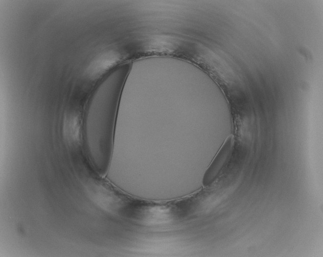 X0000115390692200911241246