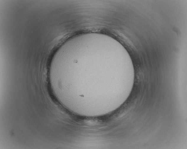 X0000115390693200911241246