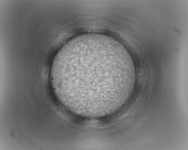 X0000115390695200911241246