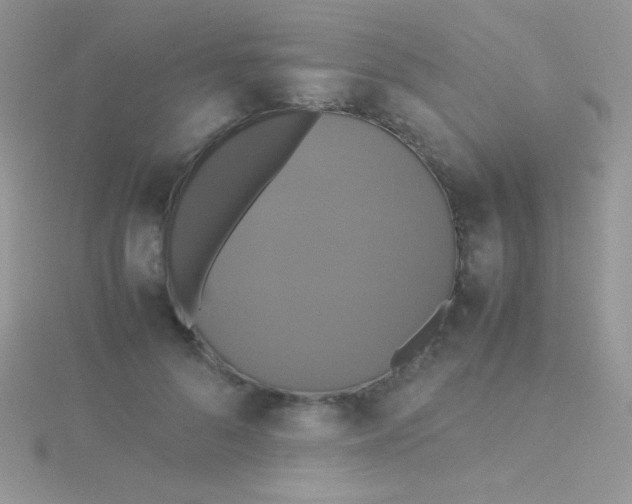 X0000115390696200911241246