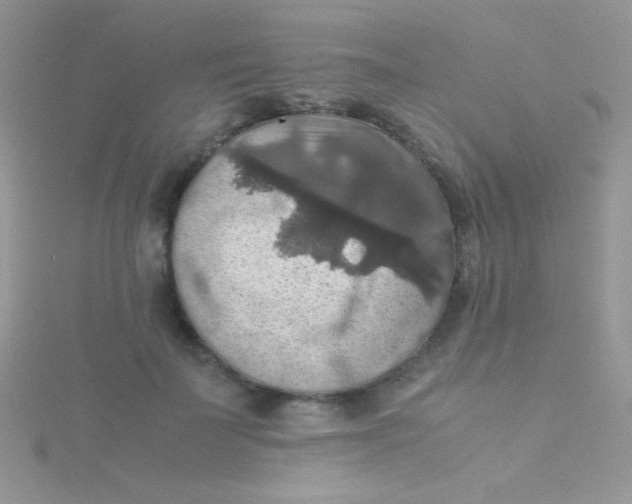 X0000115390699200911241246