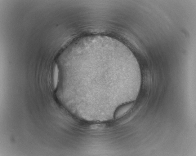 X0000115390700200911241246