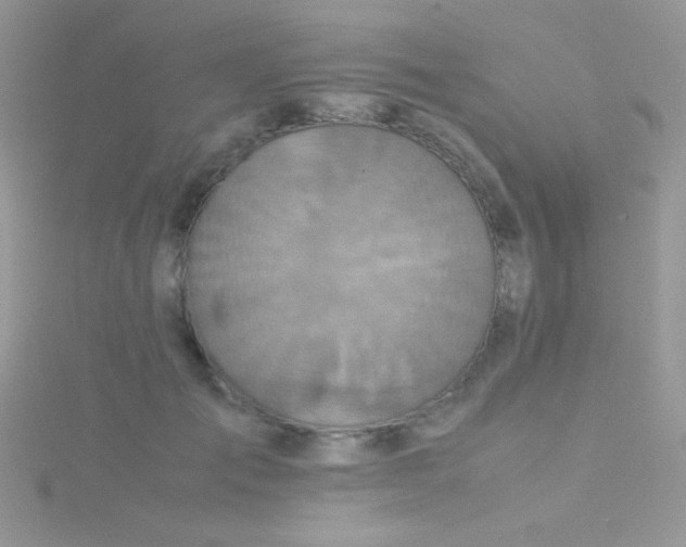 X0000115390701200911241246