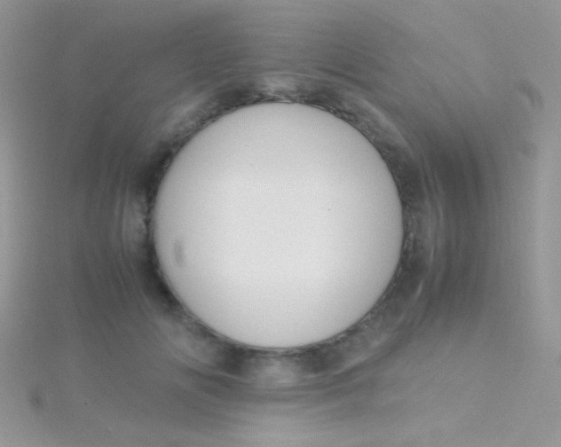 X0000115390702200911241246