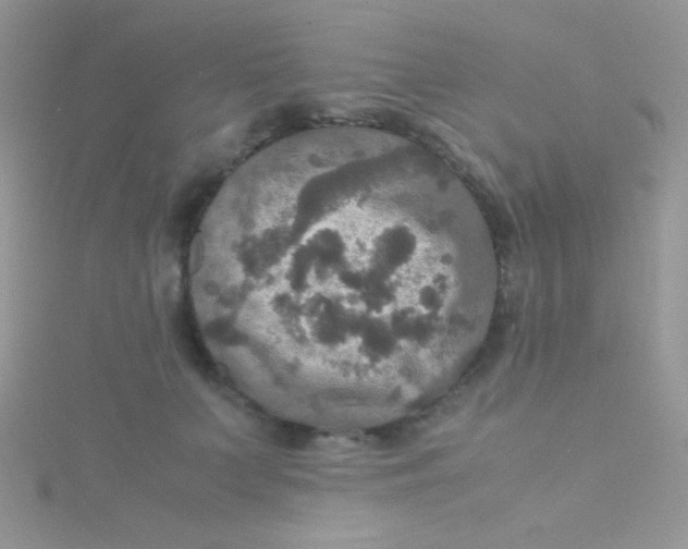 X0000115390703200911241246