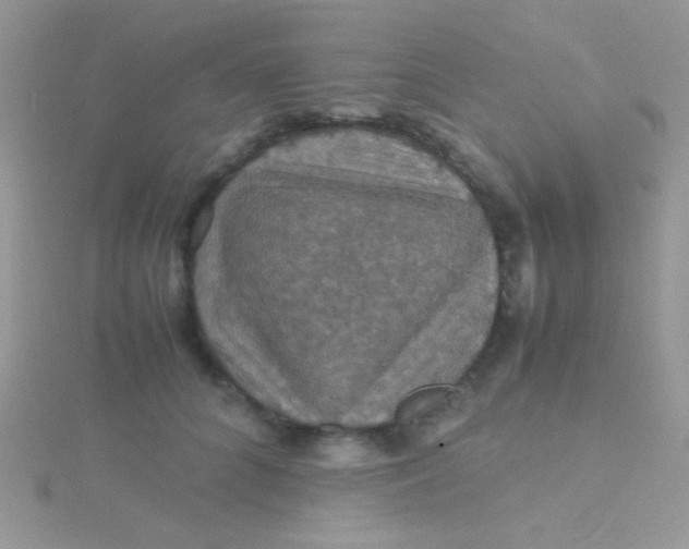 X0000115390704200911241246