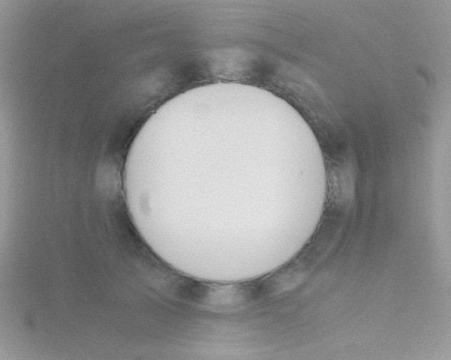 X0000115390705200911241246