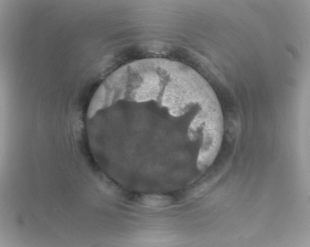 X0000115390707200911241246