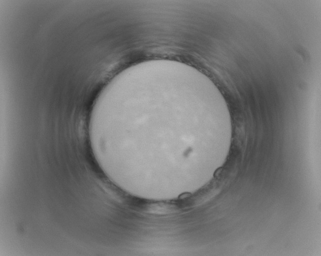 X0000115390708200911241246