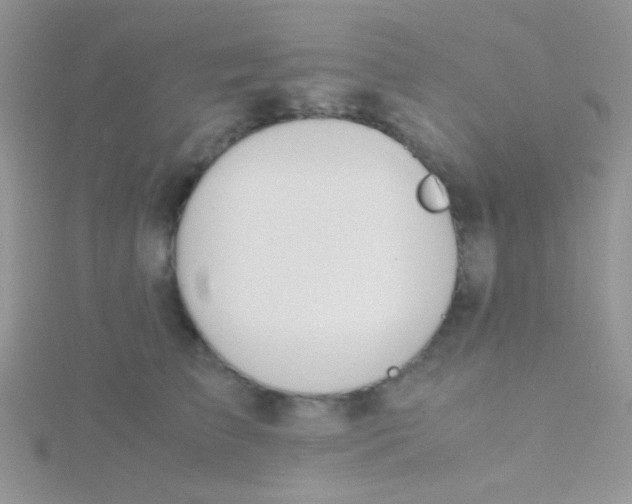 X0000115390709200911241246