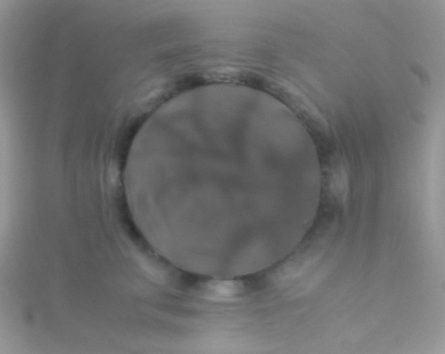 X0000115390711200911241246