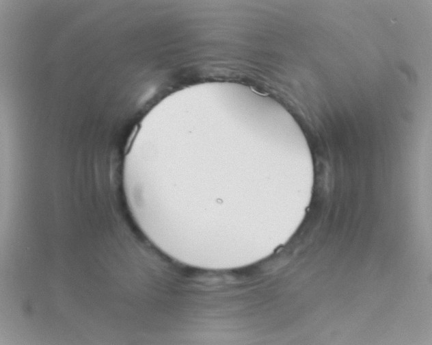 X0000115390712200911241246