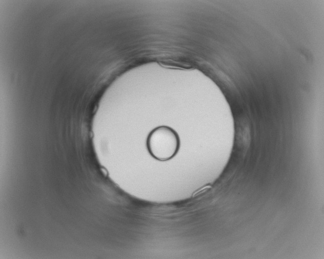 X0000115390716200911241246