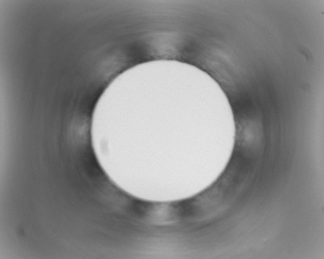 X0000115390717200911241246