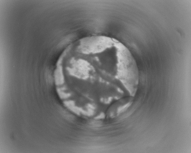 X0000115390719200911241246