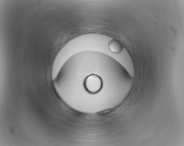 X0000115390720200911241246