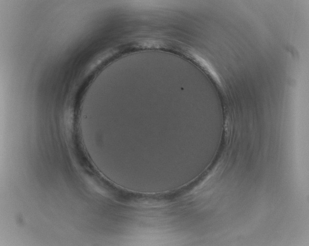 X0000115390722200911241245