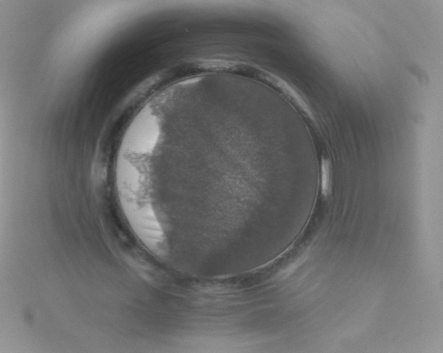 X0000115390723200911241245