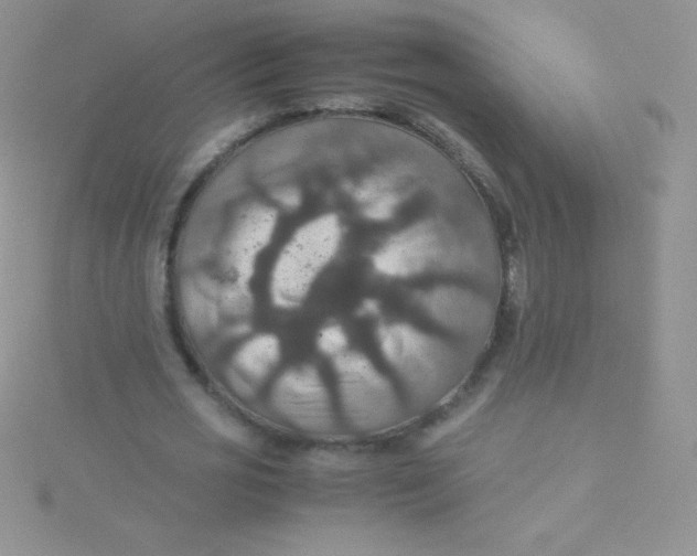 X0000115390725200911241245