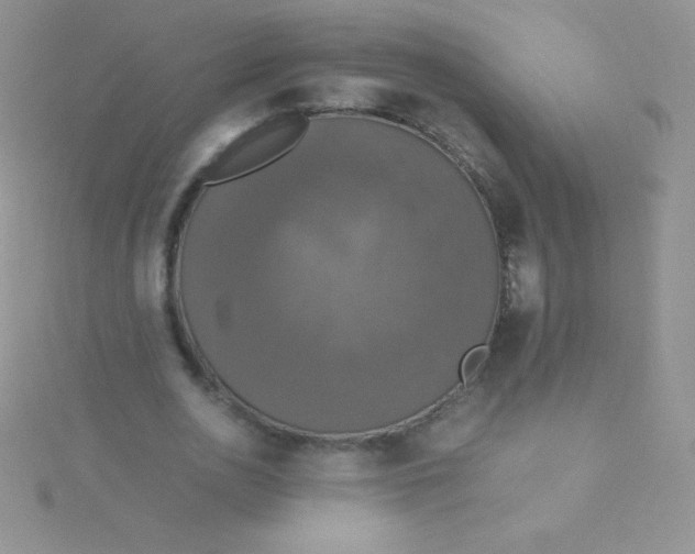 X0000115390726200911241245