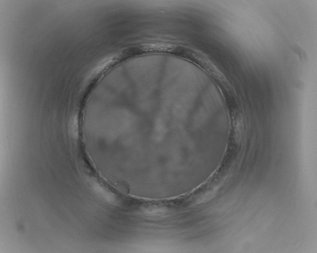 X0000115390729200911241246