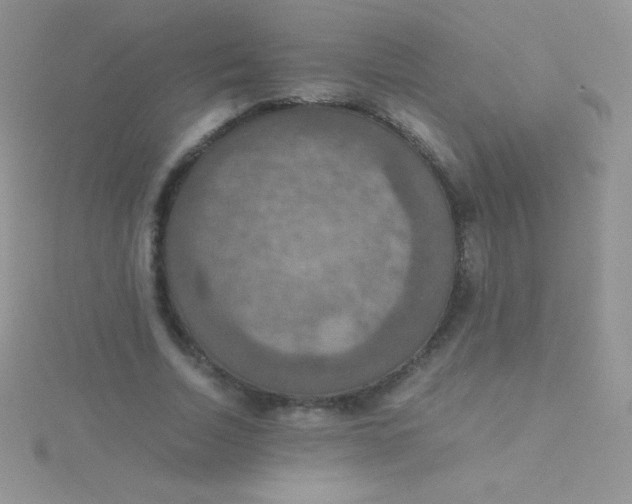 X0000115390730200911241246