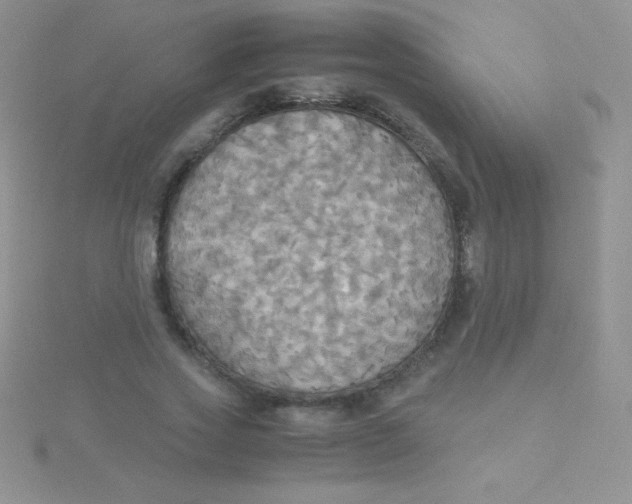 X0000115390733200911241246