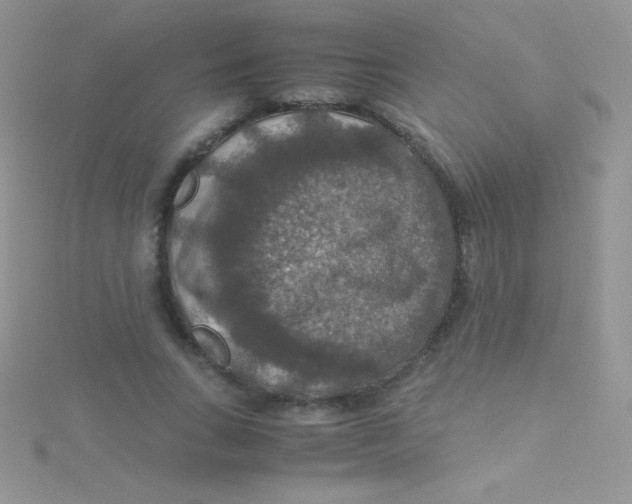 X0000115390735200911241246