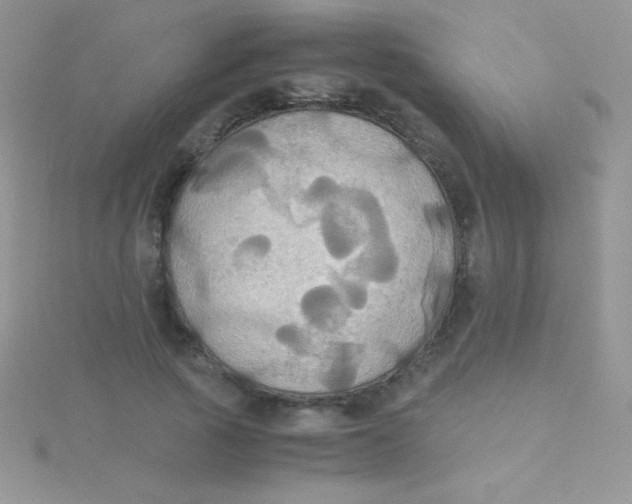 X0000115390737200911241246