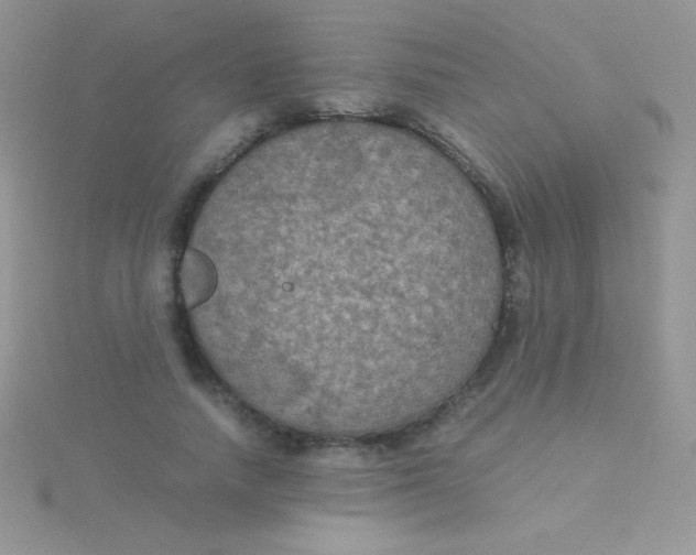 X0000115390738200911241246