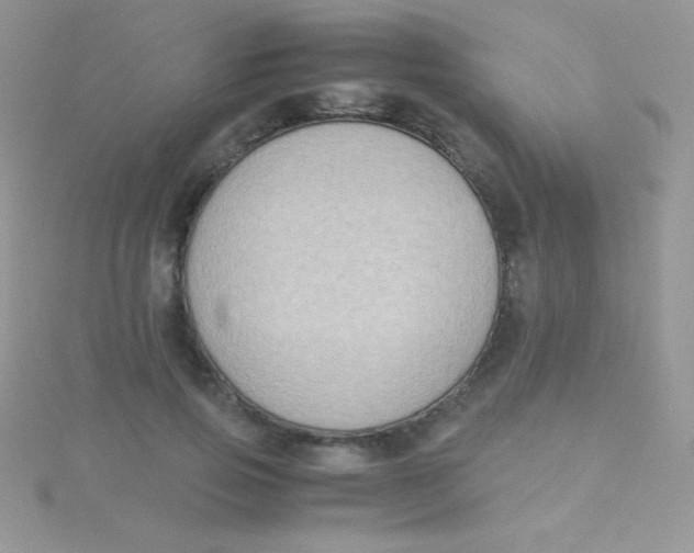 X0000115390741200911241246