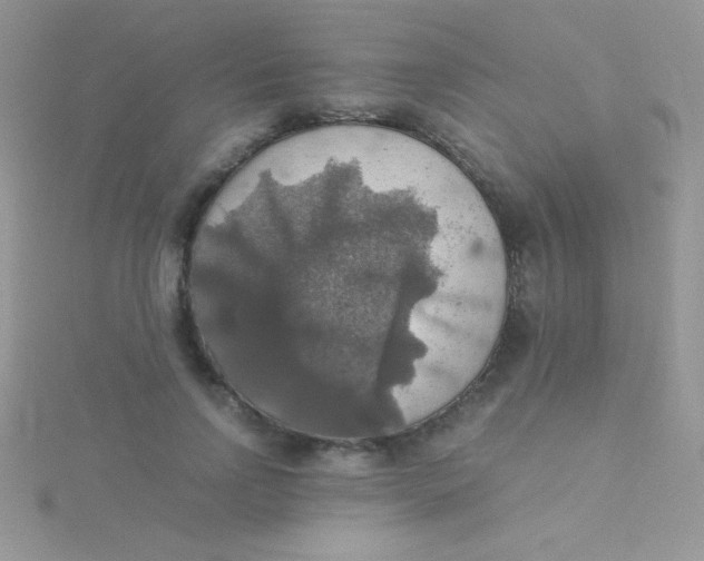 X0000115390742200911241246