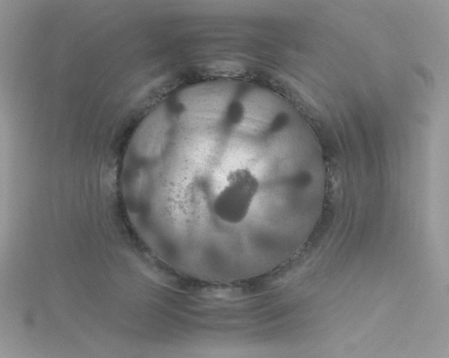 X0000115390745200911241246