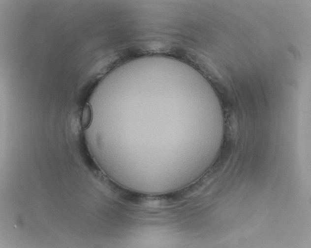 X0000115390746200911241246