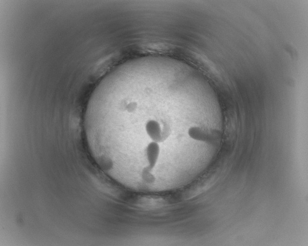 X0000115390749200911241246