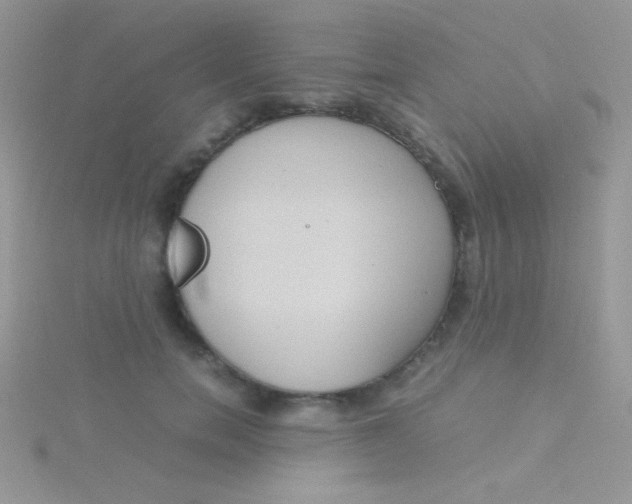 X0000115390750200911241246