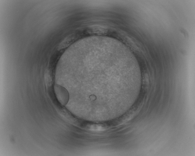 X0000115390751200911241246