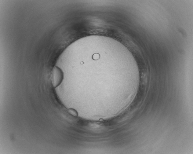 X0000115390753200911241246