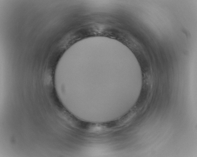 X0000115390754200911241246