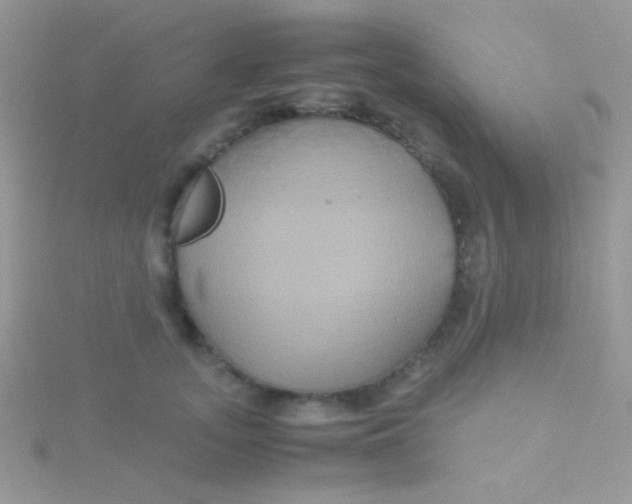 X0000115390755200911241246