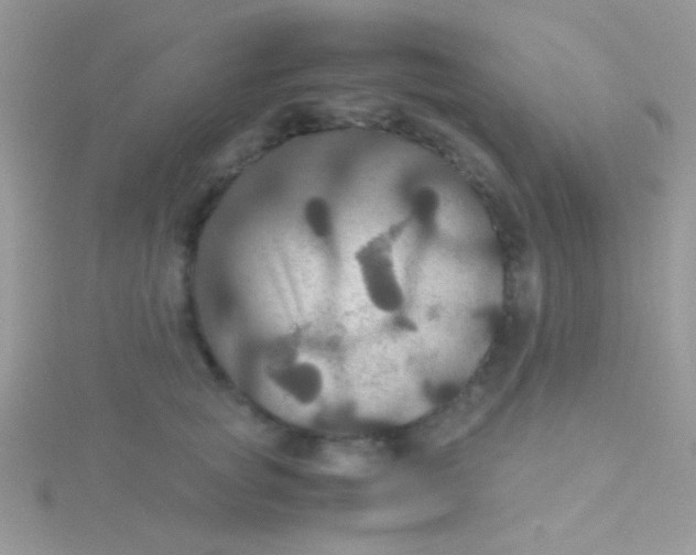 X0000115390757200911241246