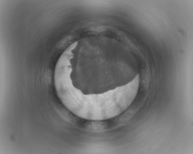 X0000115390758200911241246