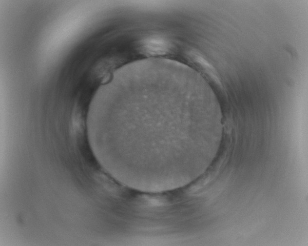 X0000115390763200911241246