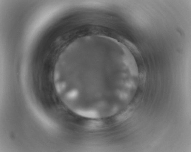 X0000115390765200911241246