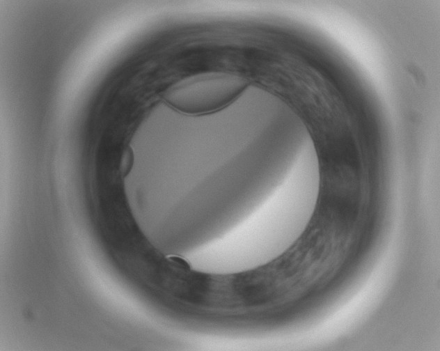 X0000115390766200911241246