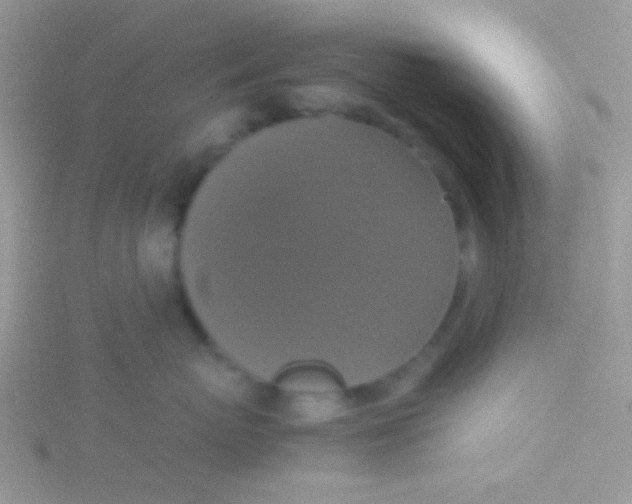 X0000115390767200911241246