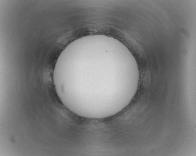 X0000115390770200911241245