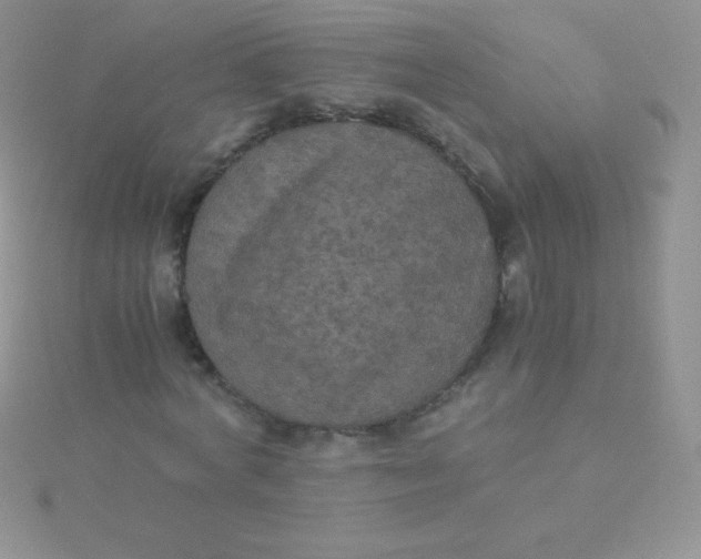 X0000115390772200911241245