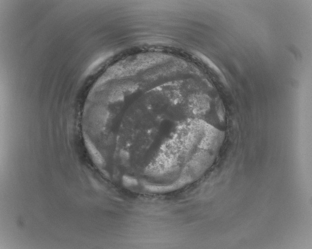 X0000115390775200911241245